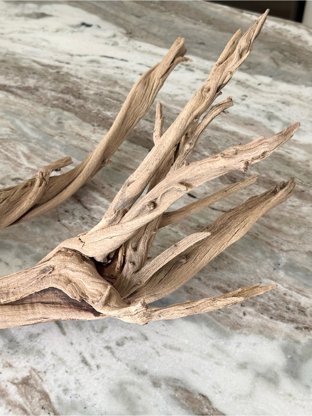 Large Natural Driftwood Branch - Coastal Beach Decor - Picture 10 of 17